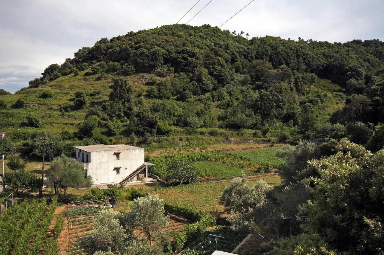 Apartments By The Sea Supetarska Draga - Donja, Rab - 2022 מראה חיצוני תמונה